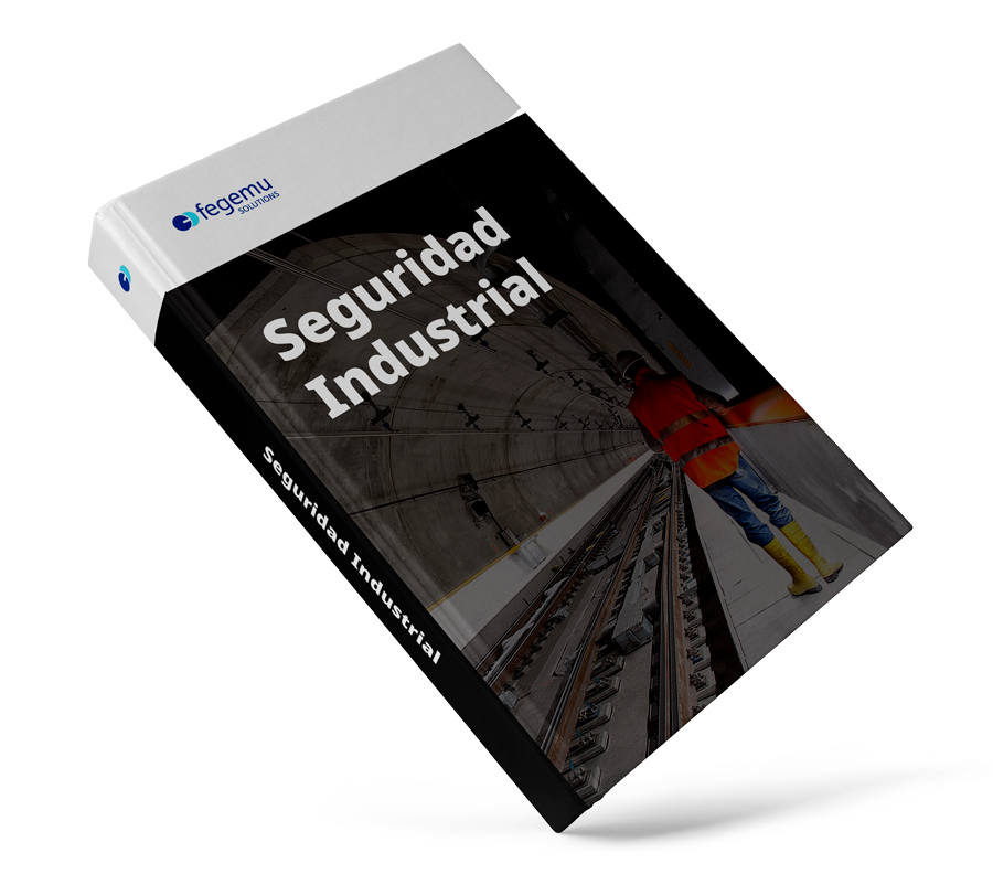 libro-landing-seguridad-ads-fegaut