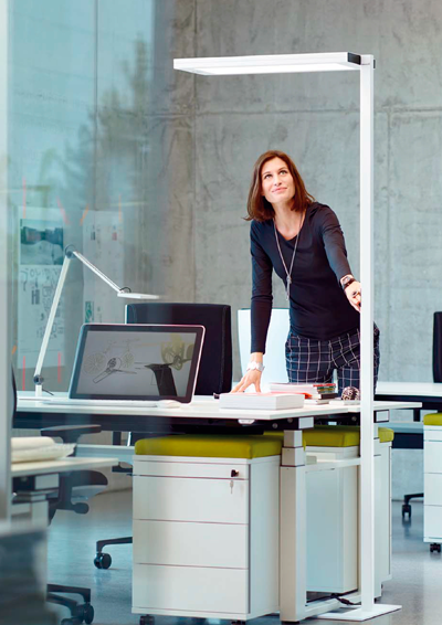 oficinas Waldmann